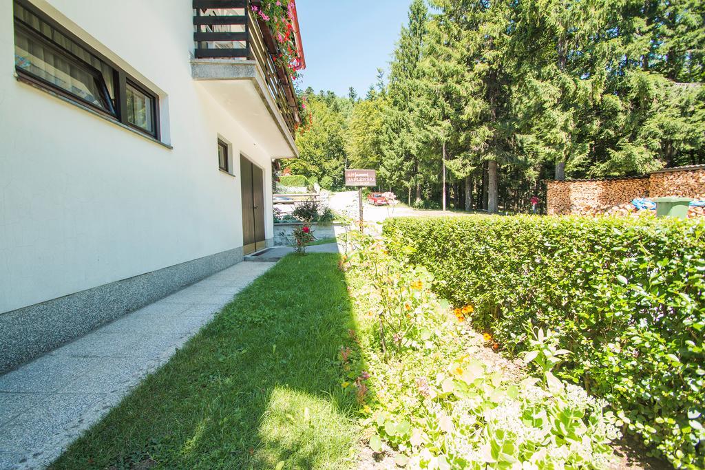 Apartman Japlenski ديلنايس المظهر الخارجي الصورة